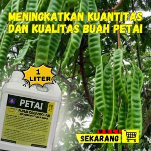 Pupuk Booster Pohon Petai: Nutrisi Alami & Pertumbuhan Optimal