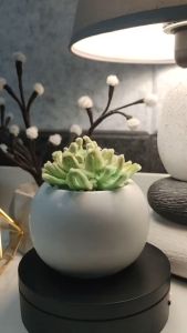 1pc Mini Succulent Pot (Souvenirs Gift Idea Aesthetic Home Decorations)