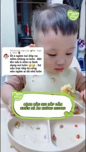 Bột ăn dặm Mămmy cho bé từ 6 tháng tuổi gồm bột sữa yến mạch sữa bắp non trái cây mùa hè cháo sườn heo thịt bò và gà hầm