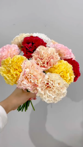 (Setangkai) Bunga Single Head Carnation Artificial/Bunga Anyelir Palsu Dekorasi