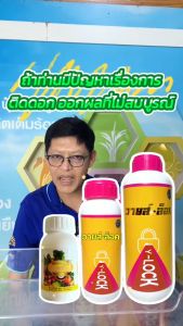 100 ซีซี ขนาด วายล็อค ผสมเกษร ขยายขนาดผล เนื้อแน่น น้ำหนักดี