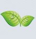 herbal oficial