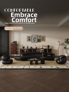 HSMJ | Minimalist Arc-shaped Sofa Designer Vintage Black