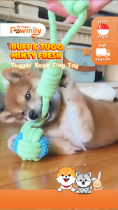 Ruff n Tugg Minty Fresh – Cool Mint Green & Ocean Blue Tugger Rope Toy for Small to Medium Breed Dogs