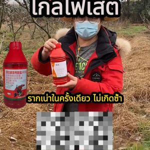 กำจัดวัชพืชยาฆ่าหญ้า พิเศษ: ผงฆ่าหญ้า ถูกเลือก การเสริมสร้างร่องปาก 1 รูปพิมพ์ ผงร่องปาก ร่องปากและกอไผ่ สารก่อไผ่ สำหรับการกำจัดต้นไม้