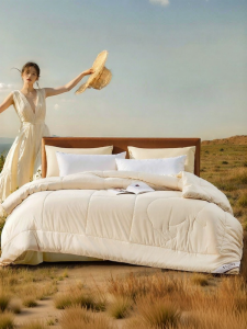 FUANNA (富安娜) | A Class Wool Quilt