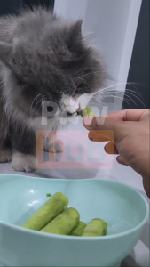 PAWHUB Cat Grass Stick - Snack Kucing Campuran Catnip Ayam Minyak Ikan Premium Berkualitas