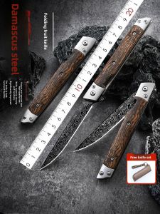 plys | Professional Damascus Steel Sharp Portable Fruit Knife