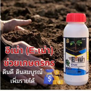 อิเน่า 3ขวด แถมฮิวมิค1ขวด ปรับสภาพดินทุกสภาพ ฟื้นฟูดิน เพิ่มผลผลิต ส่งฟรี ของแท้