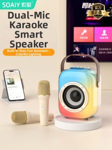 soaiy | All-in-One Microphone and Speaker Home KTV