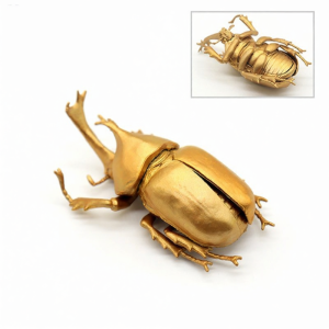 Insect Educational Toys Models