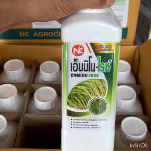 ฮอร์โมนข้าว เอ็นมิโนไรซ์ อะมิโนพืช สำหรับข้าว เร่งราก เร่งใบ แตกกอใหญ่ ออกวงสุด รวงใหญ่ เมล็ดเต็ม ทนร้อน ทนหนาว 1 ลิตร