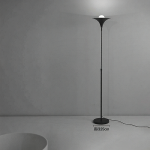 LSHE | Decorative & Stylish Floor Lamp