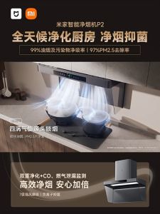 Xiaomi Mijia Smart Range Hood P2 Gas Stove AI Supercharged Smoke Negative ion Purification PM2.5米家油烟机Asap Recycle