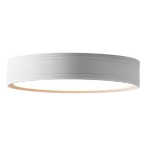 DENGFU | Slim Surface Mounted LED Ceiling Light Small