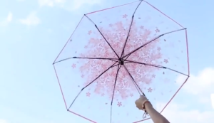 AQUILA CAPITAL Foldable Automatic Transparent Umbrella Cherry Blossom Hello Kitty Ins Hot Dachshund Solid Color Goddess Style Internet Celebrity Umbrella