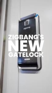 HDB/BTO Door Lock Bundle (Dual Sync) - Zigbang SHP-P72 Wooden Door Smart Lock (Gold) + SHP-A21 Metal Gate Lock (Black)