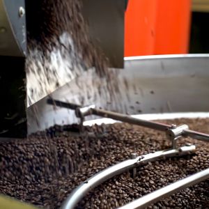 Coffex Coffee Bean - Alturra 100% Arabica Whole Coffee Bean (250g-1kg) Café Arabica Arabica Kaffee Arabic Coffee Cups Cohesive Coffee Cafe Caribe Coffee - Lazada