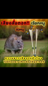 เสียงสั่นตอก เสียงต่อหนู เสียงหนูนา ต่อเข้าเร็ว USBแฟลชไดร์ฟเสียงสั่นตอกต่อหนู ไม่มีโฆษณาแทรก