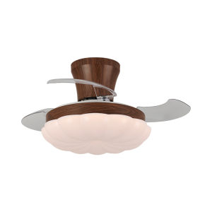 DGY | Vintage Style Integrated Home Ceiling Fan Light