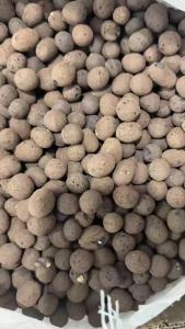 210g Expanded Clay Pebbles – Natural Stone Aquatic Plant Media for Fish Tanks Lightweight Aerating Spheres for Succulents