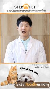 Ster Pet สเตอร์เพ็ท มะเร็งเนื้องอกแผลอักเสบ 15แคปซูล หมาแมว