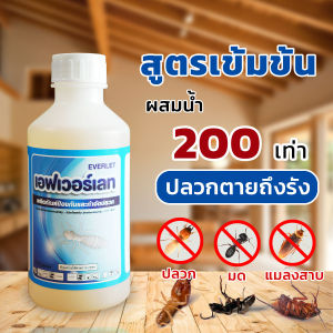 ยาปลวก น้ำยากำจัดปลวก ยากำจัดปลวก ยาฉีดปลวก เอฟเวอร์เลท EVERLET