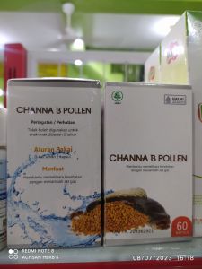 Channa B Pollen 60kapsul Kapsul ikan gabus / kutuk premium plus kebaikan dari beepollen