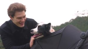 รถเข็นสัตว์เลี้ยงขนาดใหญ่ FikaGo รุ่น Kross สี Black Green รับน้ำหนักได้ถึง 100 KG.