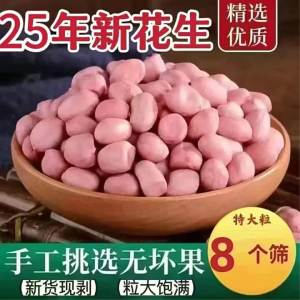 Seasonal Quality Unshelled Peanut Kernels