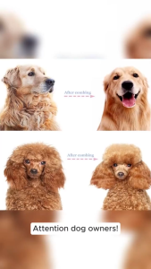 Pet Deshedding Brush -pet static hair removal gloves Knot Remover & Hair Comb for Dogs & Cats