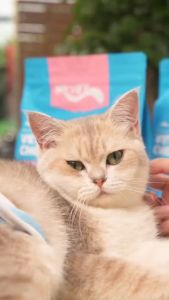 Mr. Vet T2 50g ดิบ Boost อาหารแมวพรีเมี่ยม Omega-3 อาหารเสริมเพื่อสุขภาพผิวและเสื้อโค้ท