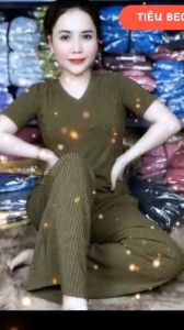 Đồ bộ nữ vải tiêu dày dặn áo cổ tròn tay NGẮN quần ống rộng