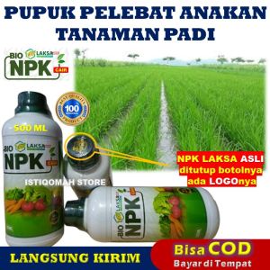 COD MURAH ASLI Obat Pelebat Anakan Padi Bobot Berat dan Besar NPK LAKSA GROW Tahan Musim Hujan Pupuk Organik Cair Melebatkan Anakan Padi Membesarkan Padi dan Padi Lebih Berat Pupuk Penambah Bobot Padi Terbaik Melebatkan Padi Paling Bagus Manjur