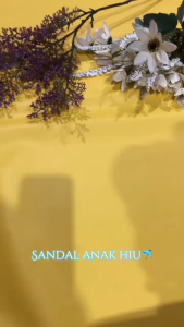 Sendal Karet Hiu Anak Sendal Hiu Remaja Sendal Lucu Sandal Slop Karakter 559 24/35