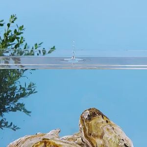 Garlic spicy canned oysters ready-to-eat seafood Various types of canned seafood (Quick delivery)