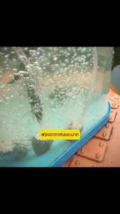 ปั้มอ็อกซิเจน ปั้มลม สำหรับตู้ปลา อุปกรณ์ครบชุด มีระบบเซฟตี้ประหยัดพลังงาน ปั๊มออกซิเจน ปั้มลมเพิ่มอ๊อคซิเจนในตู้ปลา ปลา กุ้ง ปั๊มลมตู้ปลา ปั๊มออกซิเจนตู้ปลา ปลา ดีไซน์สวย ใช้งานง่าย ประหยัดพลังงาน ปั๊มออกซิเจนสำหรับตู้ปา COD