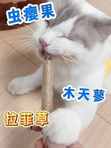 ไม้บดฟัน ของเล่นแมว ของเล่นทำความสะอาดฟันแมว ไม้บดฟันแมว แปรงบดฟัน ไม้บดฟันขนาด 22 ซม.