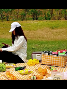 ตะกร้าปิกนิก กระติกน้ำแข็ง กล่องตั้งแคมป์ มีถุงฉนวน ด้ามจับอลูมิเนียม 35Lความจุขนาดใหญ่พิเศษ พับเก็บได้