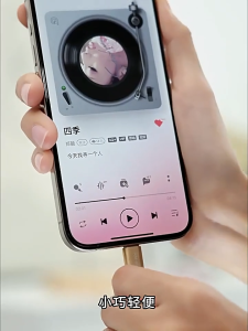 In-Ear Wired Headphones HiFi Music Earbud Earphone Type-C 3.5mm With Mic For Android IOS Xiaomi Tablet Laptops