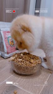 Hạt cho chó mix topping bò gan tủy chà bông Bone Appetit (đặc biệt dành cho chó kén ăn) - Sumiho Pet Boutique