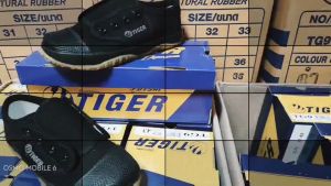 TIGER รองเท้านักเรียน รองเท้าพละ รองเท้าผ้าใบ นักเรียนชาย รองเท้านักเรียนเด็กผู้ชาย TG9