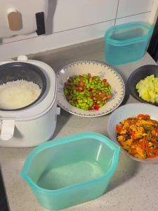 ZipTop | Microwave Safe Portable Freshness Silicone Bento Box