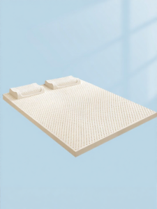 DAISHENGJIE | Soft Imported Natural Latex Mattress