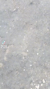 Cover List Yamaha Mx King Multicolor RGB Lampu Depan Mata Gaban Mx King Mx 150 Led Alis Mx King 150 Lampu Senja Mx King Kualitas Terbaik