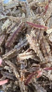 KHÔ TÔM TÍCH THƠM NGON LOẠI 1 - VỰA KHÔ TÚ SƯƠNG - KHÔ TÔM TÍCH CÀ MAU