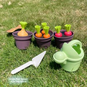 Intelligent Pretend Play Carrot Growing Toy Set
