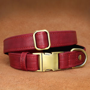 JINLINGJIE | Anti-lost Dog Collar