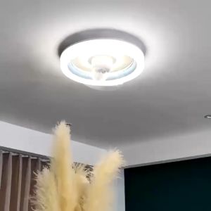 20 Inch Ceiling Fan With Light 360 ° shaking Head Remotes Tricolor Dimming 3-speed intelligent Timed Ceiling Fan Ligh