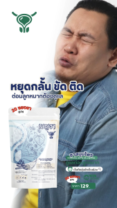 เบญจา ชาต่อมลูกหมาก ฉี่สุดพุ่งแรง นอนยาวถึงเช้า ไม่ตื่นกลางดึก ฉี่อย่างมั่นใจ ชาสมุนไพร